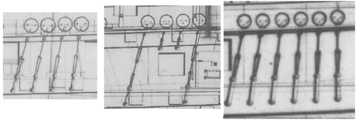 engelske_jomfruer engelske_jomfruer
