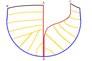 Naturlig plankeforløp